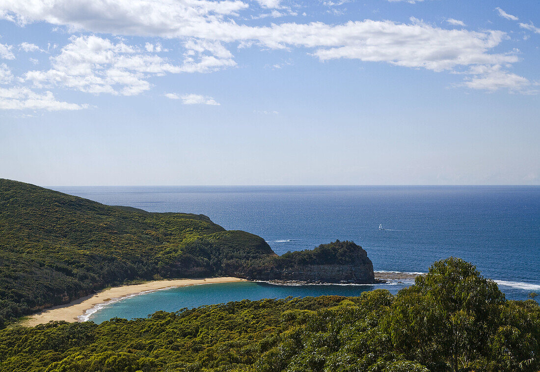 Australia, New South Wales, Central Coast, Bouddi National Park, view of Maitland Bay from Bouddi Ridge