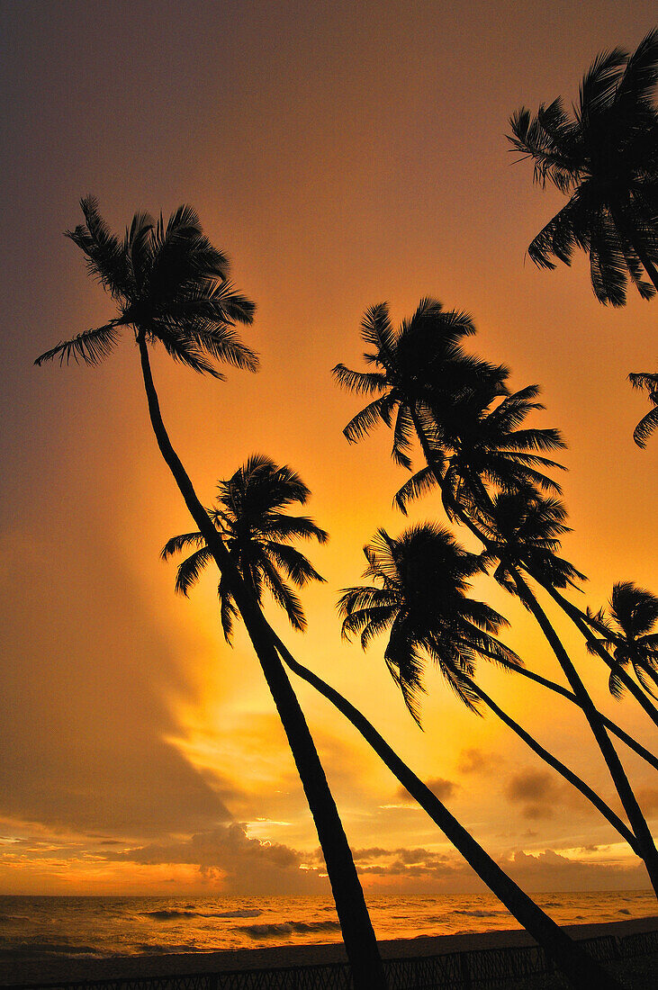 Beach, Wadduwa, Sri Lanka