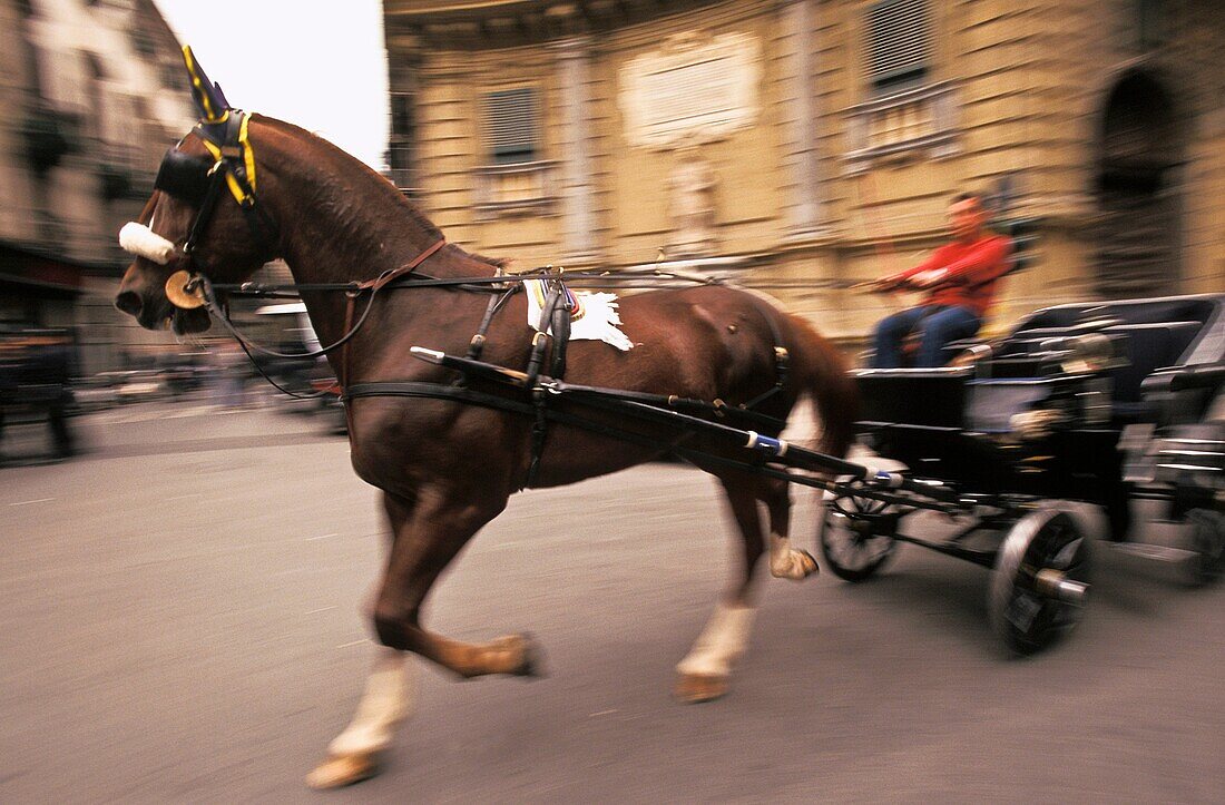 Transportation in Palermo, Sicily, Italy  Horse carriage in motion through Quattro Canti