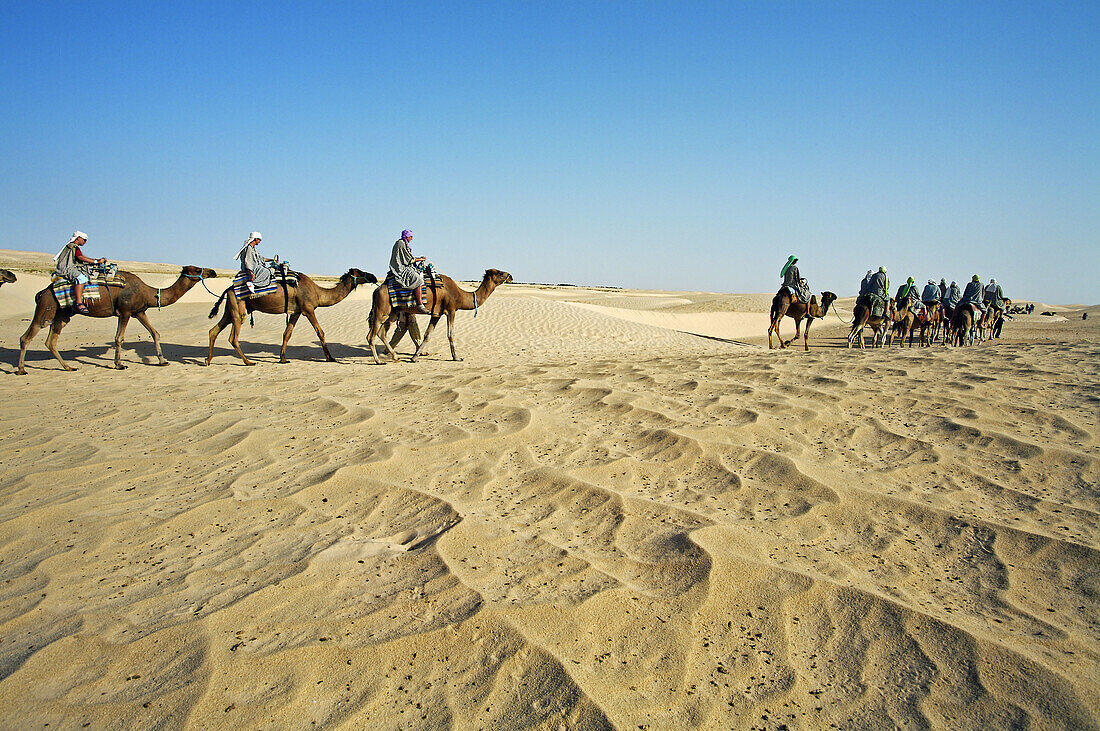 Tourists riding camels, Sahara Desert, Douz, Tunisia