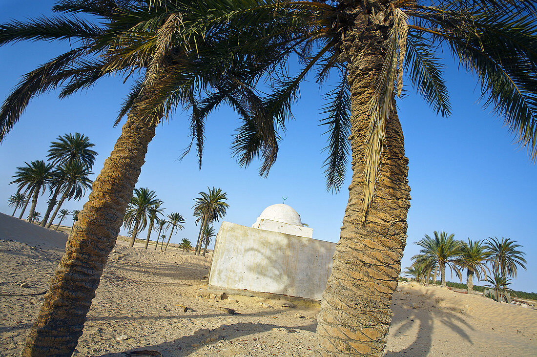 Mosque, El Faouar, South Tunisia, Tunisia