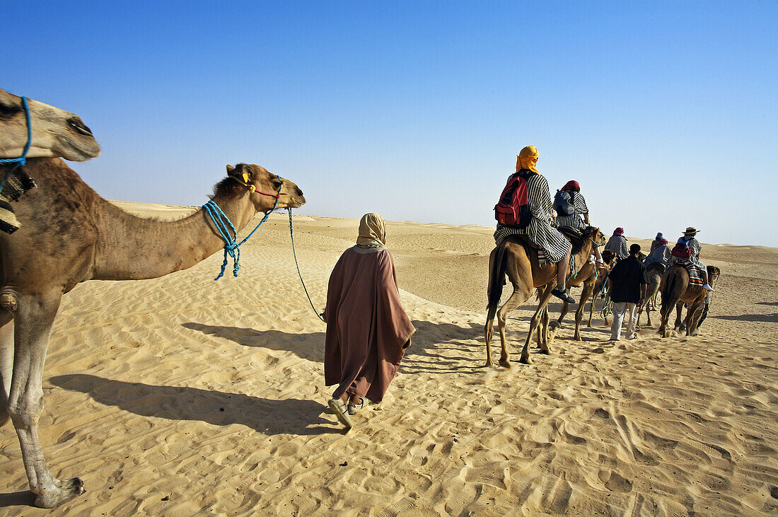 Tourists riding camels, Sahara Desert, Douz, Tunisia