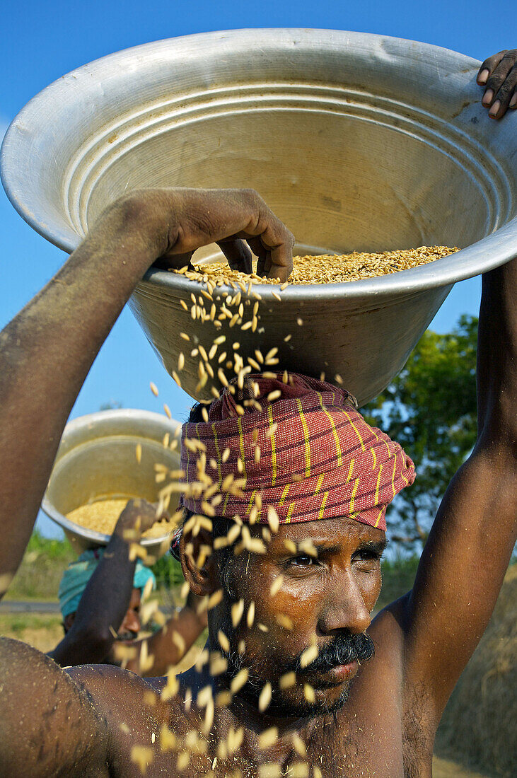 Farmers near Puduchery. Tamil Nadu, India