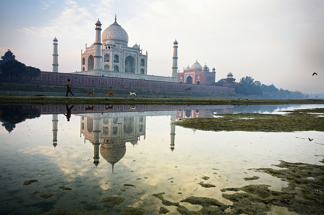 Taj Mahal seen from the East along the Yamuna River, Agra, Uttar Pradesh, India