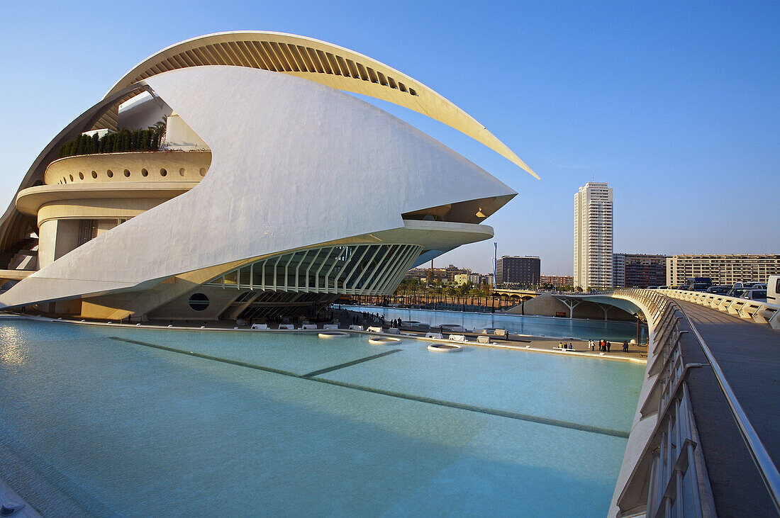 Palacio de las Artes Reina Sofia, City of Arts and Sciences by Santiago Calatrava, Valencia. Comunidad Valenciana, Spain