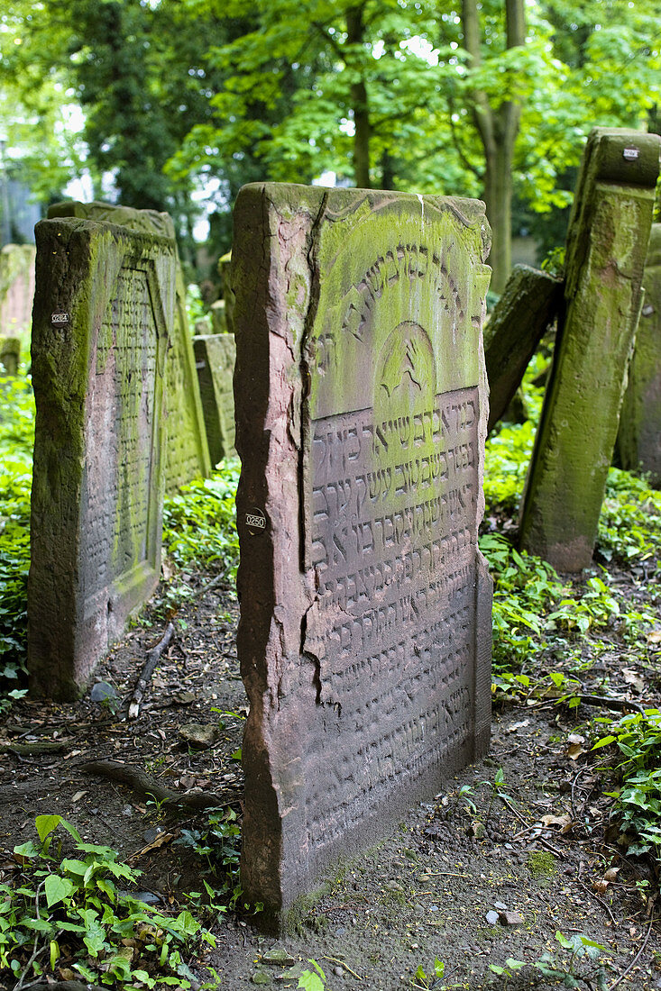 Germany, Hessen, Frankfurt-am-Main, Frankfurt Jewish cemetery, Old Jewish cemetery monuments