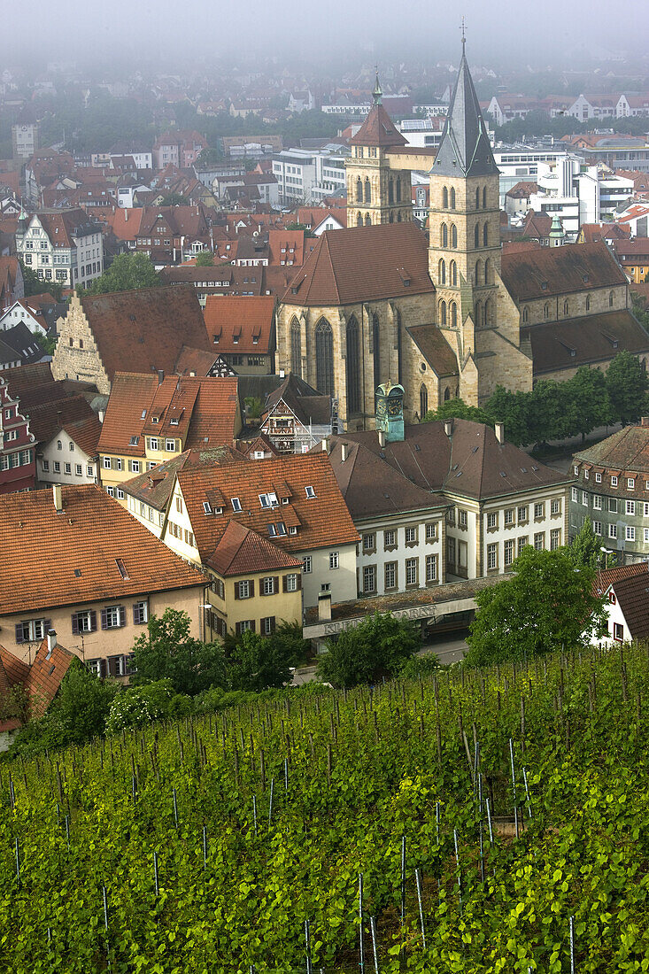 Town view from vineyards, Esslingen am Neckar, Baden-Wurttemberg, Germany