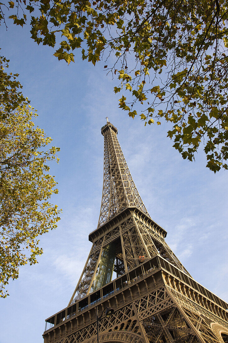 Eiffel Tower in the morning, Paris, France