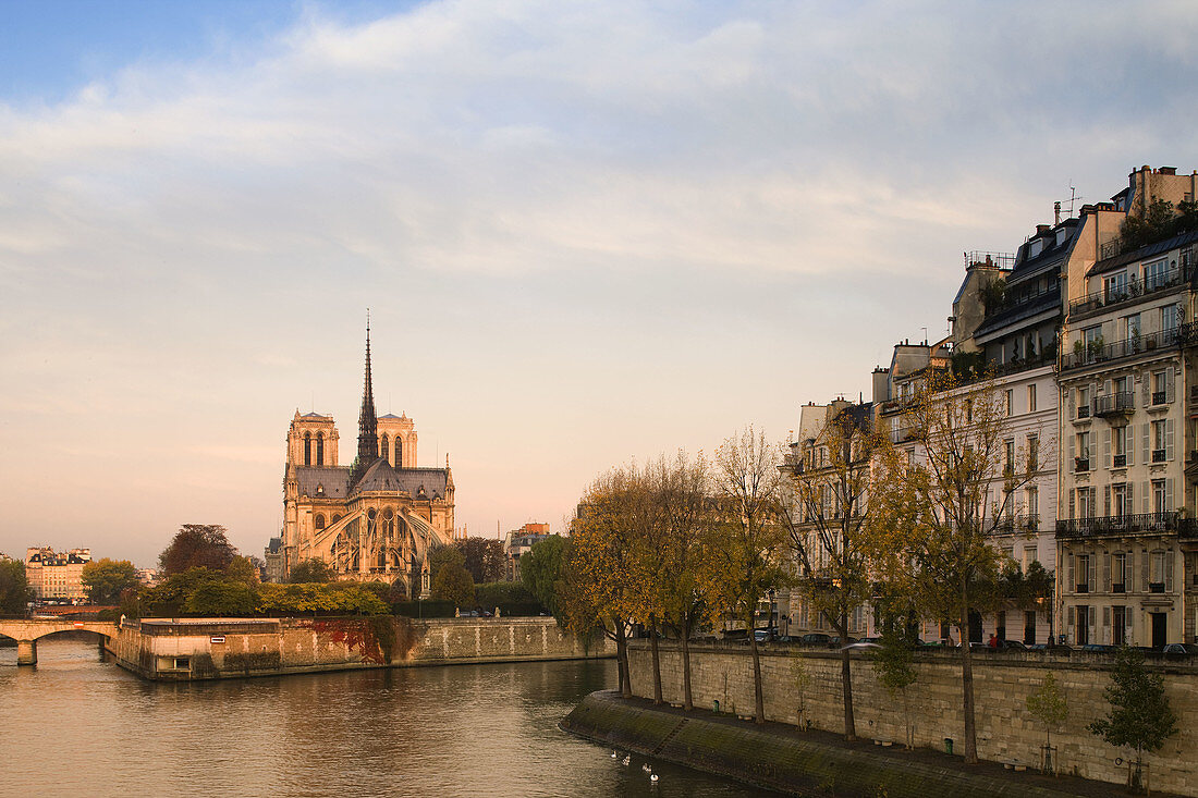 Notre-Dame cathedral and Ile St-Louis buildings at dawn, Paris, France