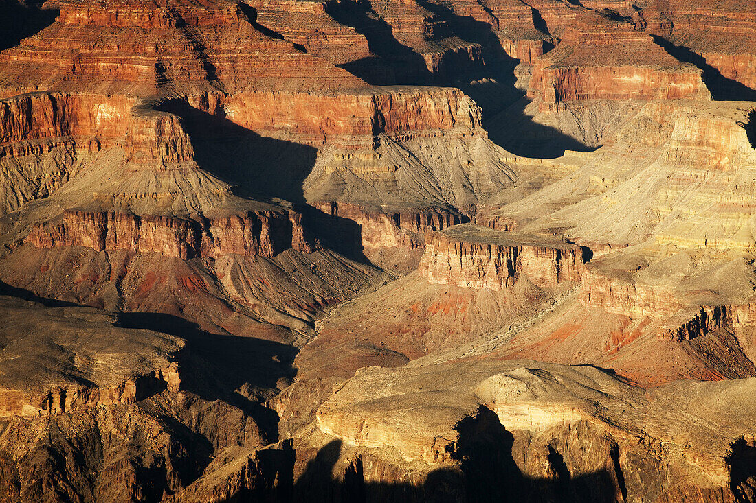 Grand Canyon National Park from Maricopa Point in the late afternoon, Arizona, USA