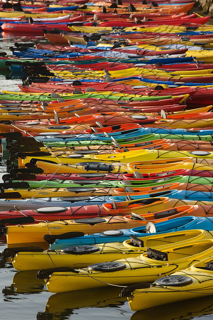 Ocean kayaks, Rockport Harbor, Rockport, Cape Ann, Massachusetts, USA