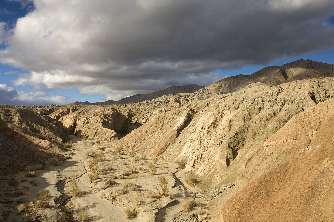 Desert landscape along Rt. S22, Anza-Borrego Desert State Park, California, USA