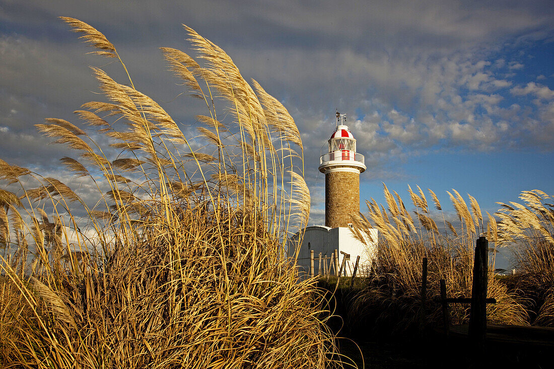 Punta Brava lighthouse in the morning, Montevideo, Uruguay