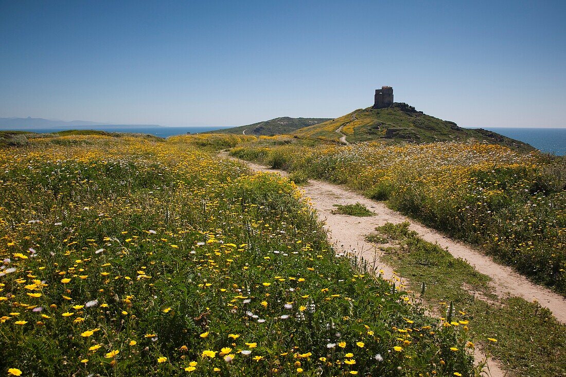 Italy, Sardinia, Oristano Region, Sinis Peninsula, Tharros, ruins of ancient Phoenician city, Spanish Tower