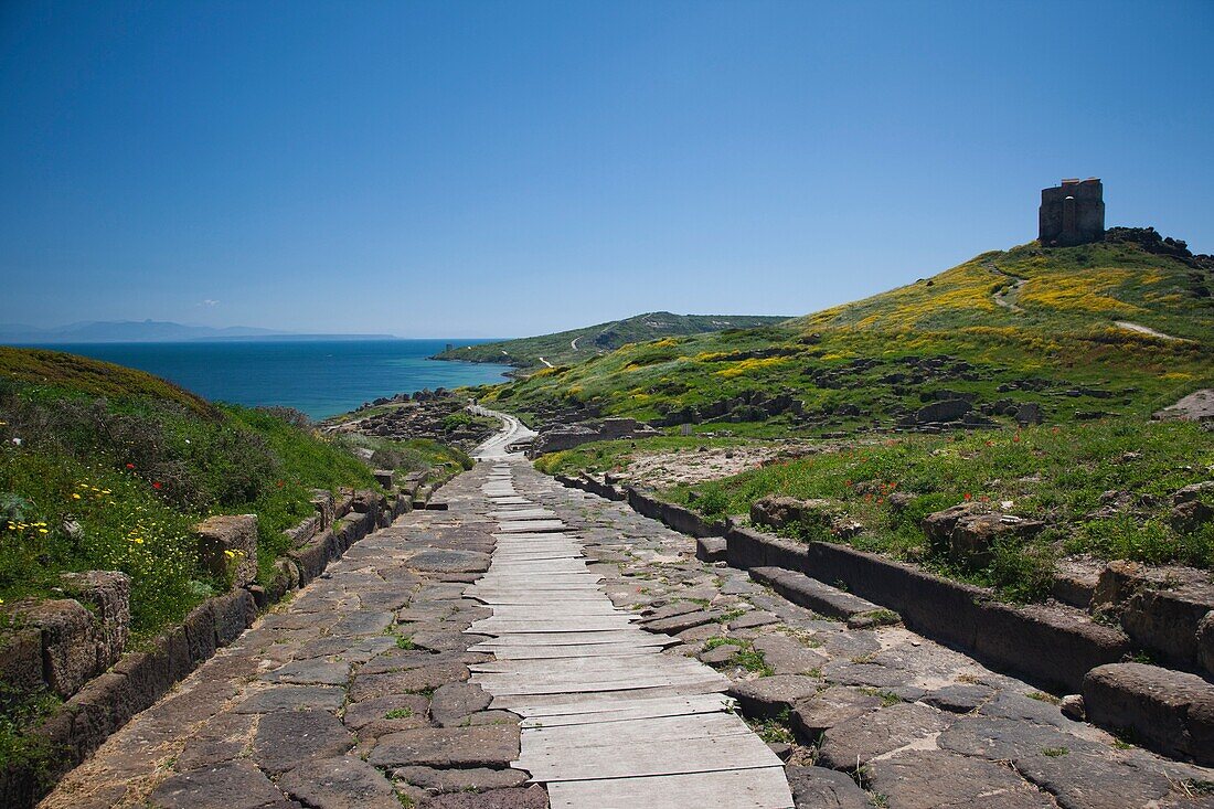 Italy, Sardinia, Oristano Region, Sinis Peninsula, Tharros, ruins of ancient Phoenician city, Cardus Maximus road