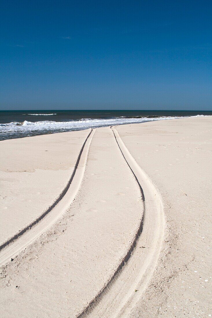 USA, New York, Long Island, The Hamptons, Westhampton Beach, car tracks in sand