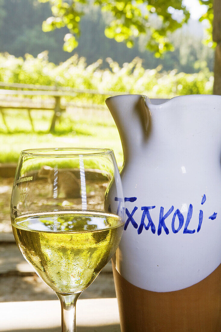 Txacoli wine in vineyard, Beldio Txakolina winey, Llodio. Alava, Basque Country, Spain