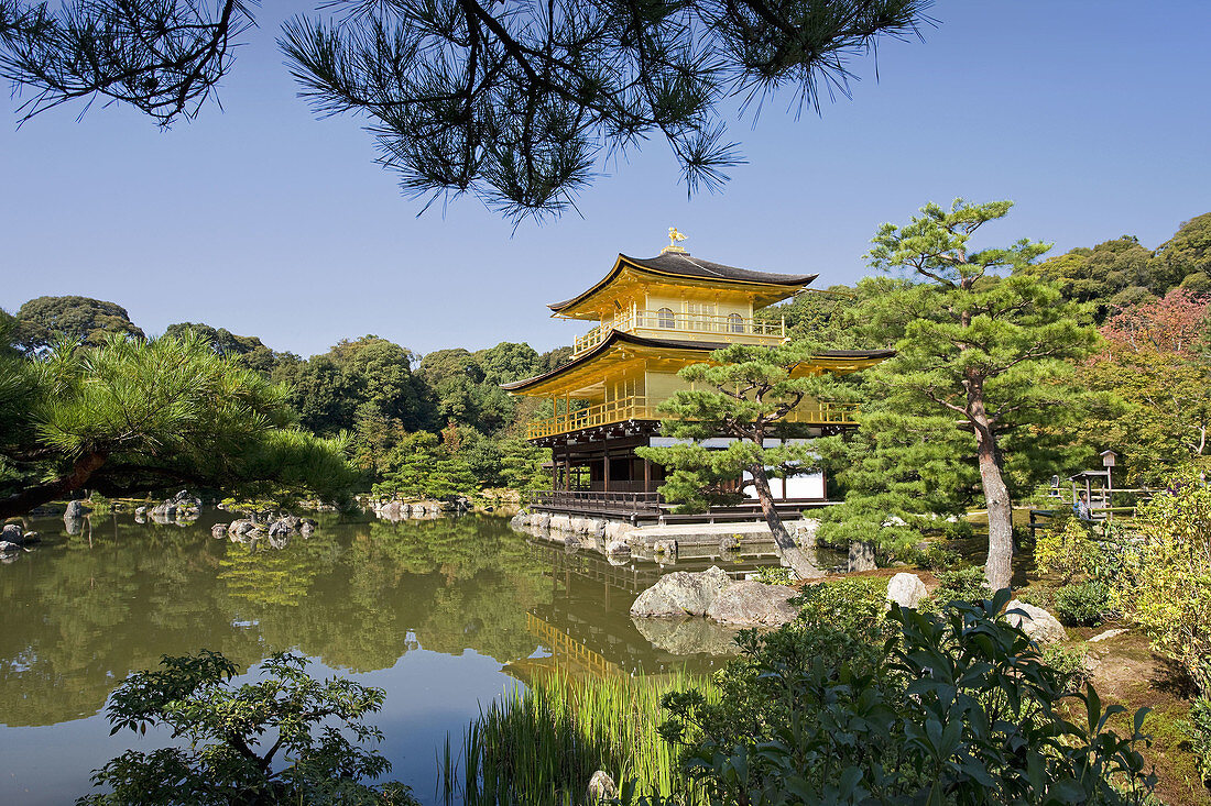 Kinkaku-Ji  Temple of the Golden Pavilion), Kyoto City, Japan  October 2008)