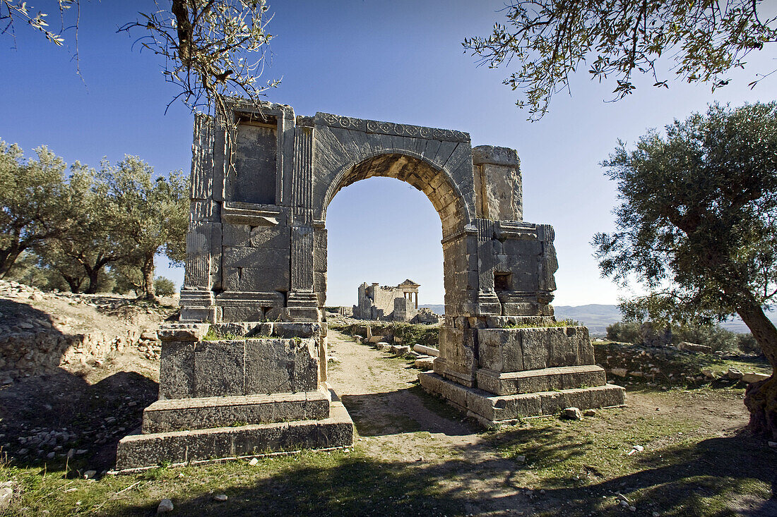 Arch of Alexander Severus, Roman ruins of Dougga, Tunisia  December 2008)