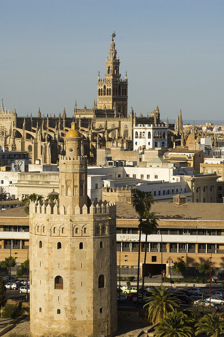 View of Torre del Oro and Giralda bell tower, Sevilla. Andalusia, Spain