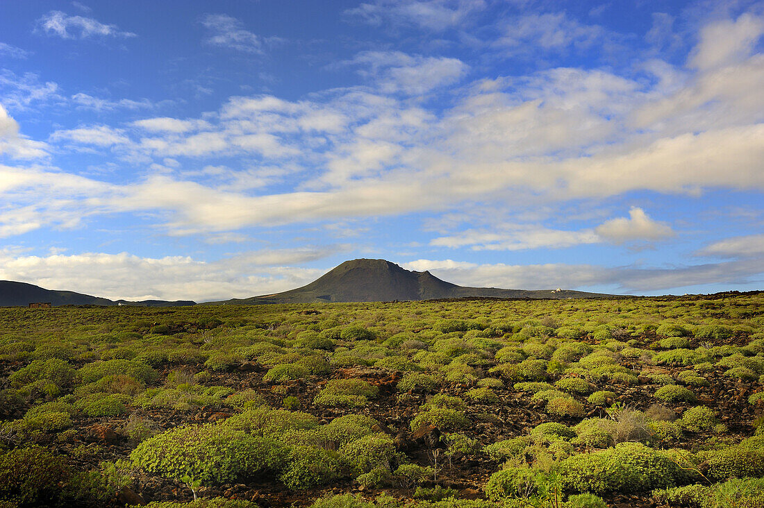 Cueva de los Verdes  ´Green Cave´), Lanzarote. Canary islands, Spain