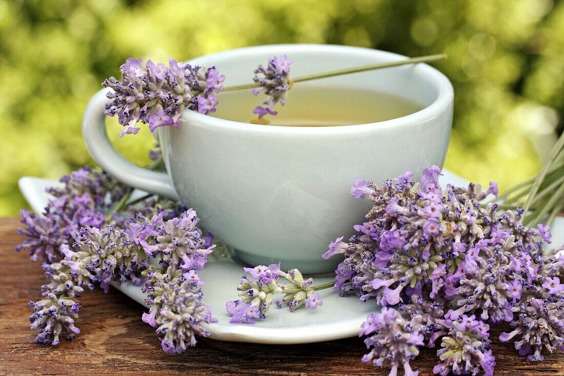 Lavender infusion  Lavandula officinalis)