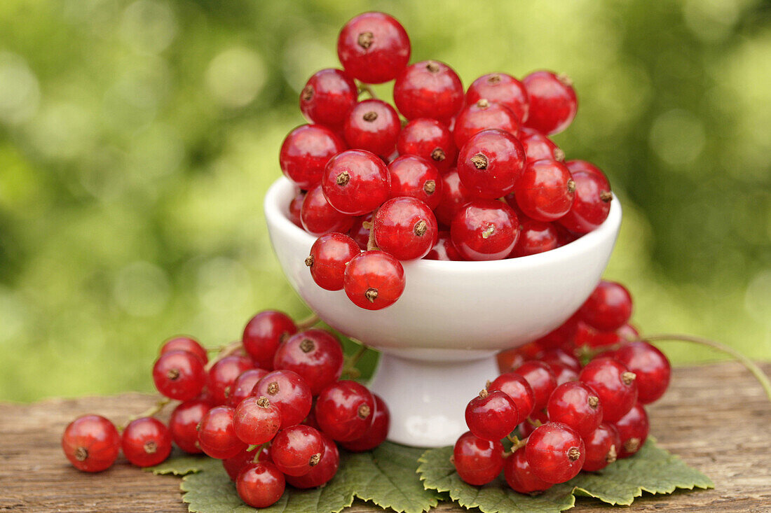 Red currants  Ribes rubrum)