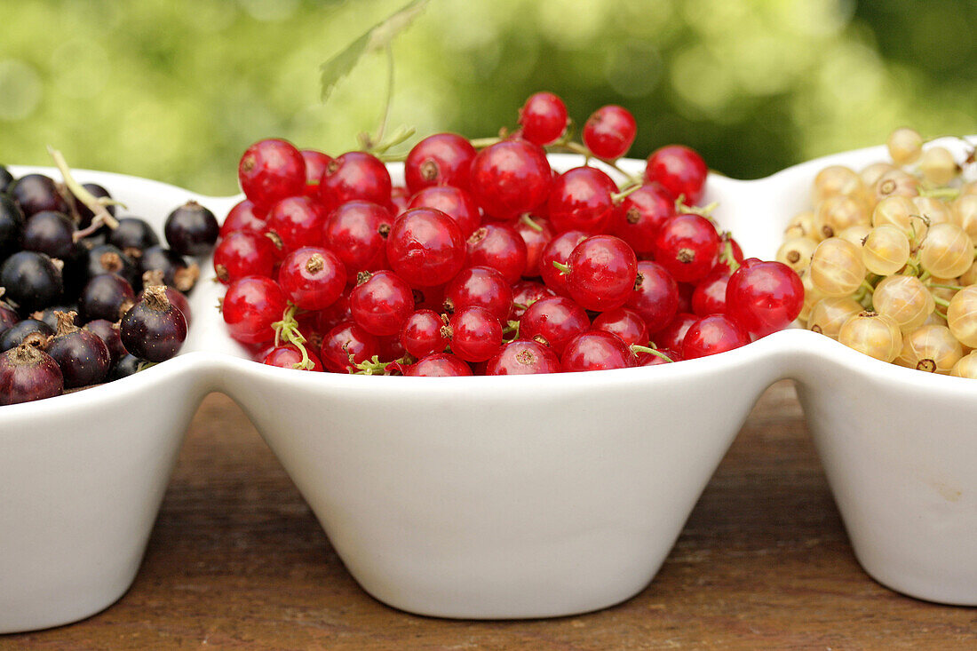 Black, red and white currants.