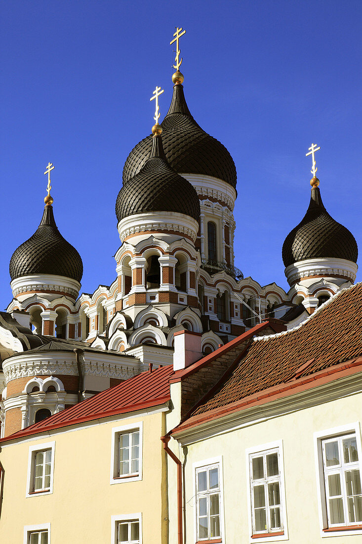 Onion Domes of Alexander Nevski Cathedral Tallinn, Estonia, Baltic States, Northeast Europe.