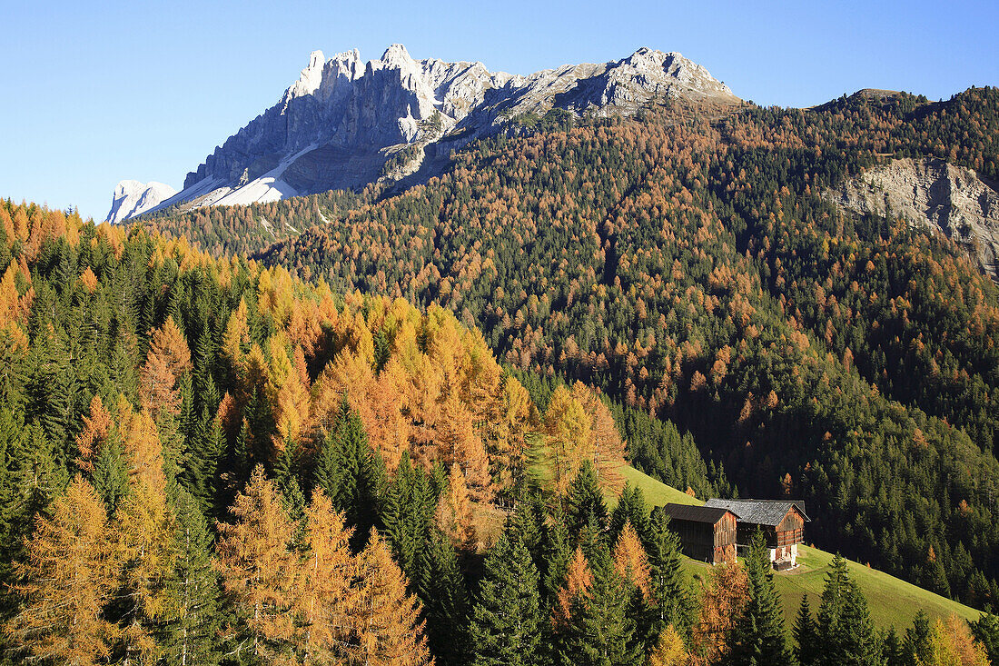 Autumnal scenic at Passo Erbe, Wurzjoch, Val di Funes, Villnößtal, Trentino, Italy