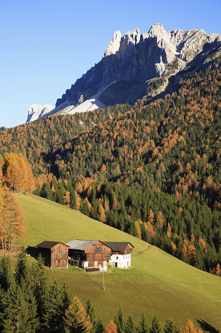 Autumnal scenic at Passo Erbe, Wurzjoch, Val di Funes, Villnößtal, Trentino, Italy