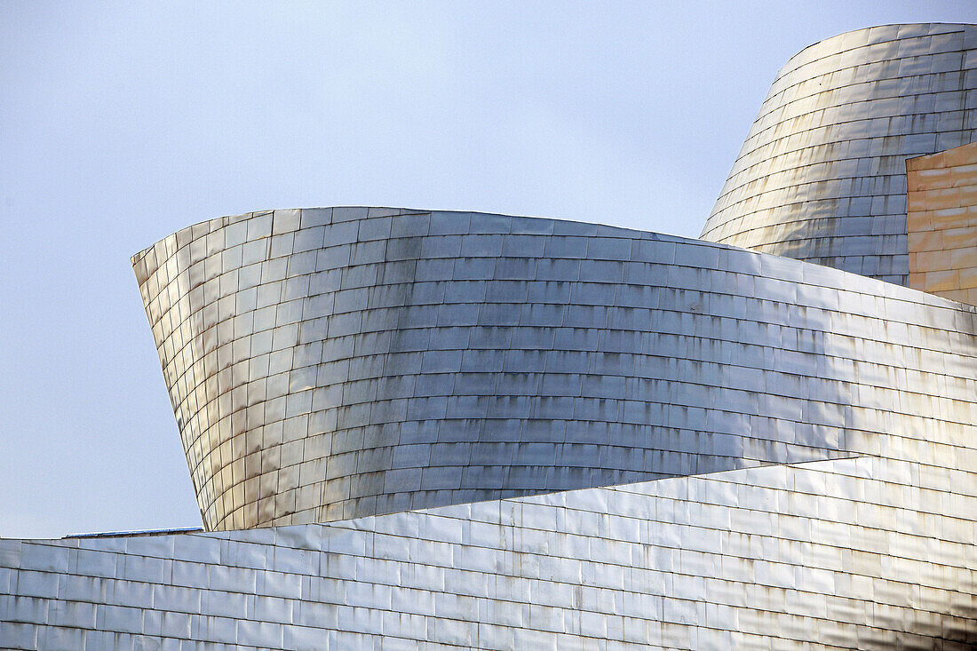 Guggenheim Museum, Bilbao, Biscay, Basque Country, Spain