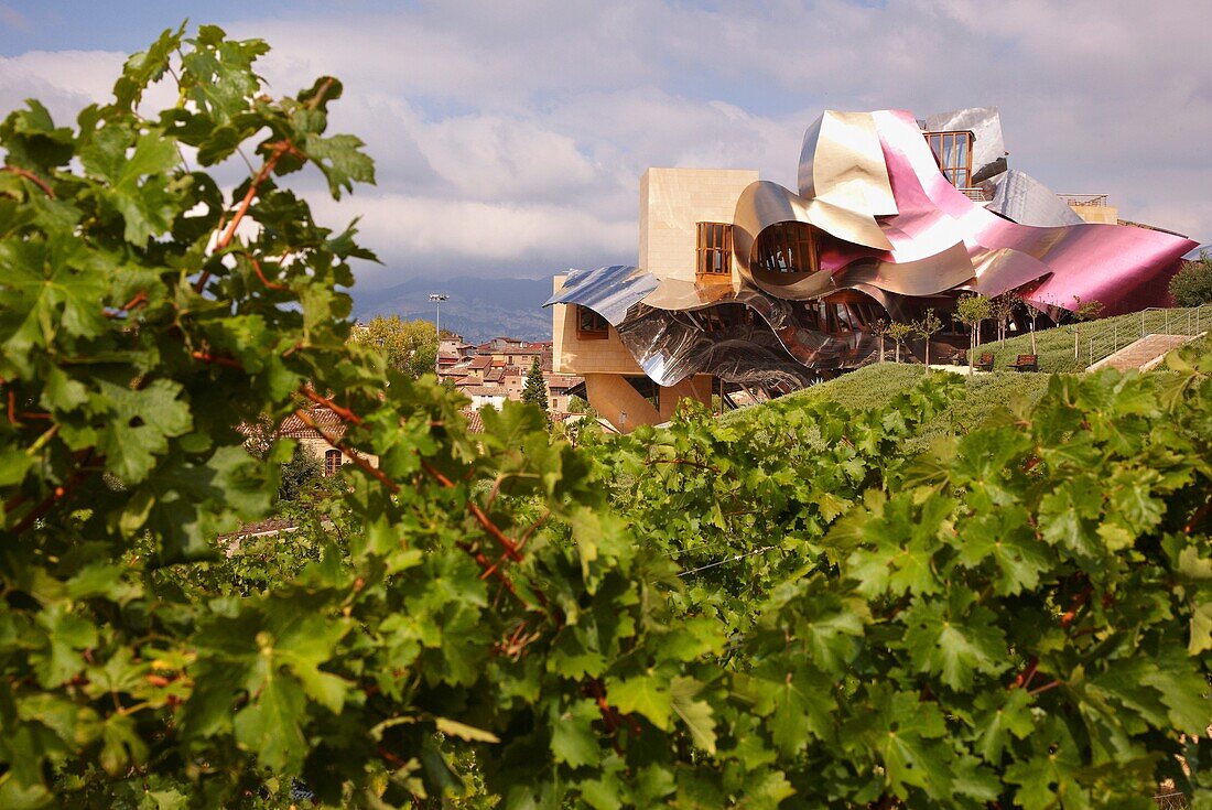 Vineyards and hoteldesigned by Frank Gehry, Bodegas Marques de Riscal, Elciego, Rioja Alavesa, Araba, Basque Country, Spain