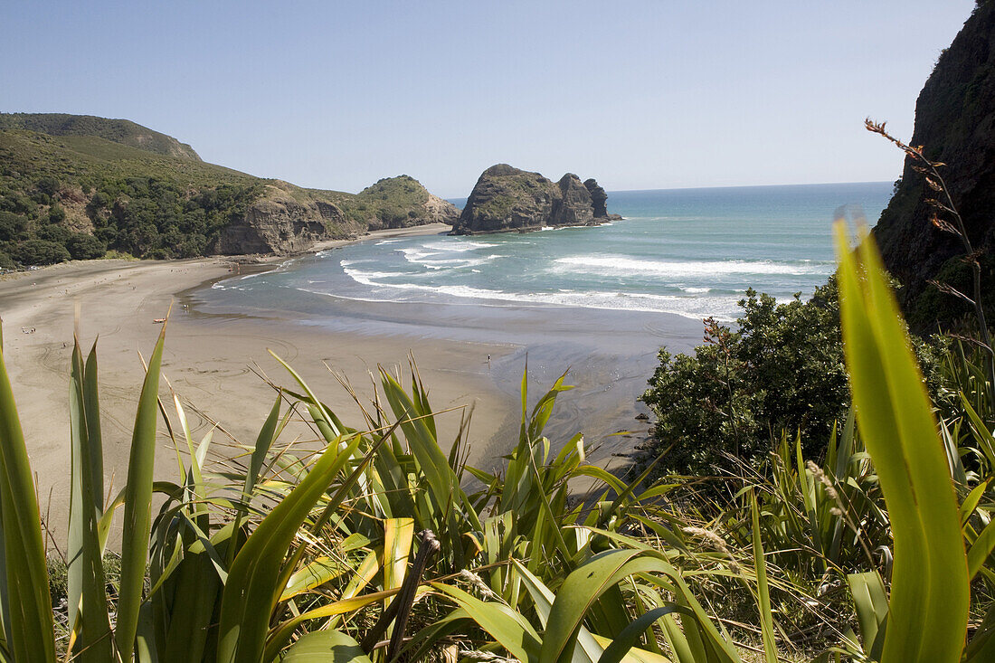 Strand von Piha, Region Auckland, Nordinsel, Tasmanische See, Neuseeland