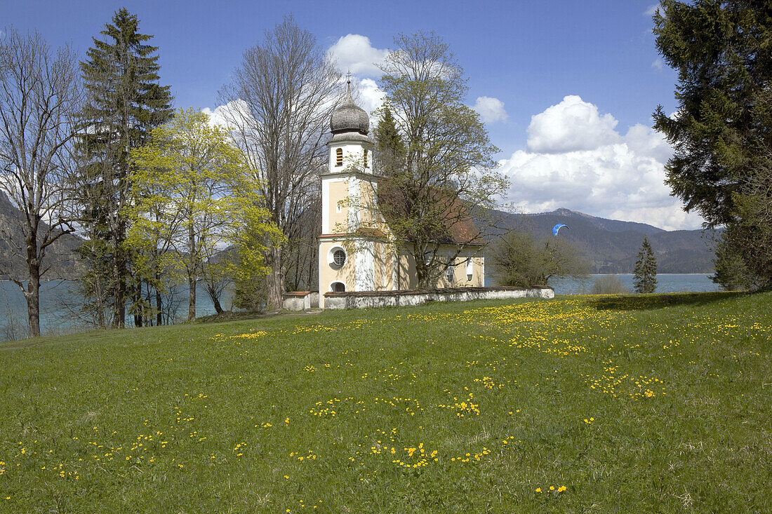 Margarethen Church on the Zwergern peninsula, spring at Lake Walchensee, Upper Bavaria, Germany