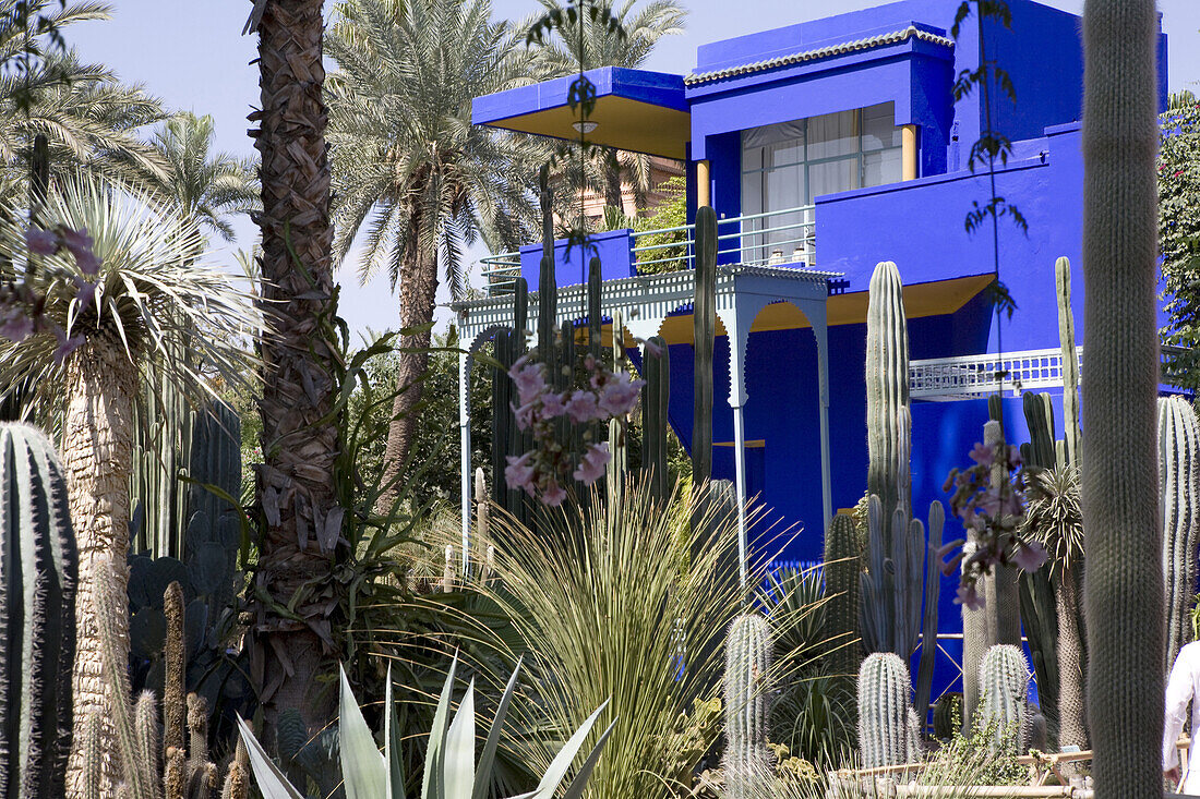 Kobalthaus, La Maison Bleu im Jardin Majorelle, Garten Majorelle, Marrakesch, Marokko