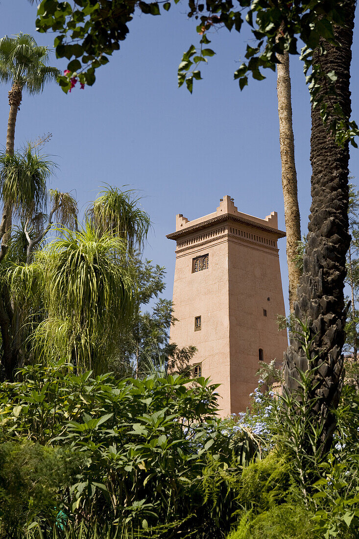 Jardin Majorelle, Garten Majorelle, Marrakesch, Marokko