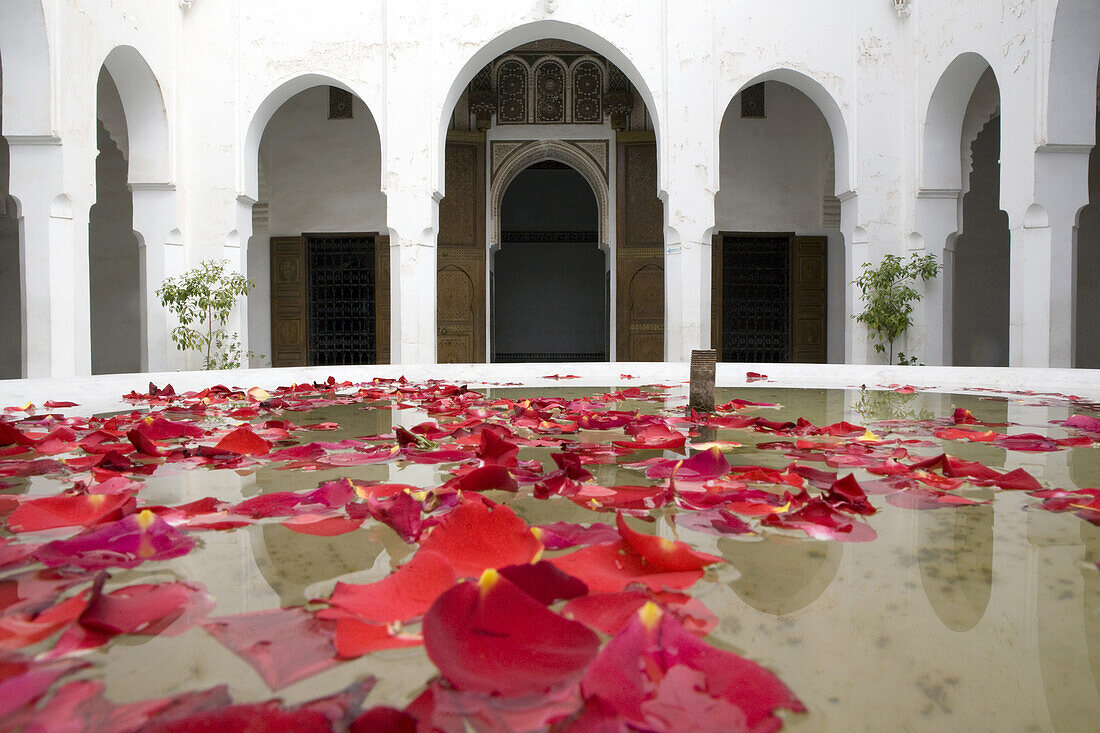Petal of Rose blossoms in a fountain at the patio of the Bahia Palace in Marrakech, Morocco