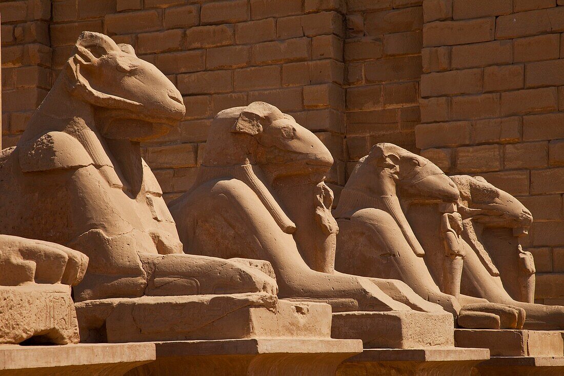 Templo de Karnak, Luxor, Valle del Nilo, Egipto