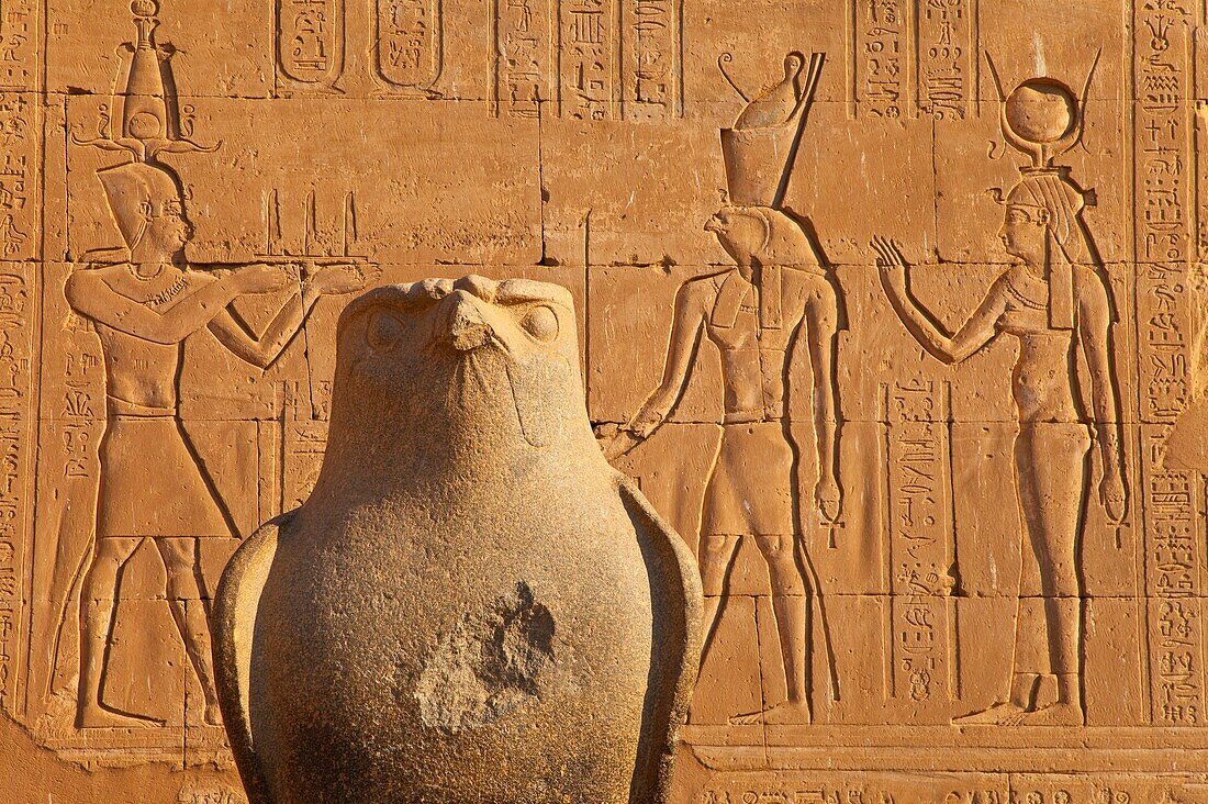 Dios halcón Horus, Templo de Horus de Edfu, Valle del Nilo, Egipto