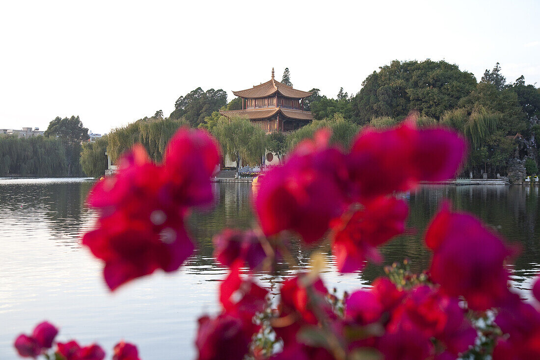 Rote Blumen am Dianchi See im Daguan Park, Blick auf Pavillon, Nordwesten der Stadt Kunming, Kunming, Yunnan, Volksrepublik China, Asien