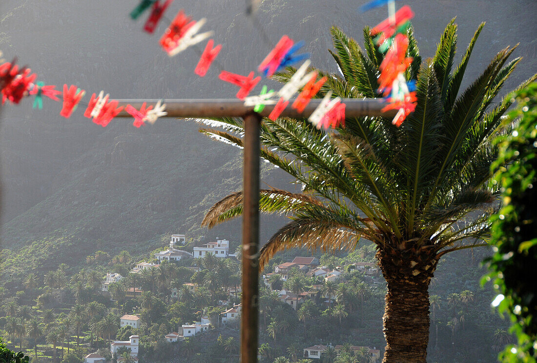 Wäscheleine und Palme im Valle Gran Rey, Gomera, Kanarische Inseln, Spanien, Europa