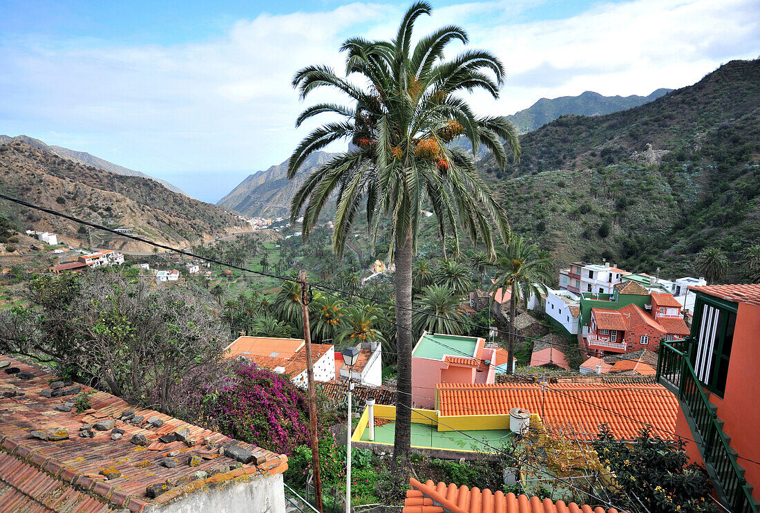 Blick auf Palme und Dächer, Tal von Vallehermoso, Nordküste, Gomera, Kanarische Inseln, Spanien, Europa