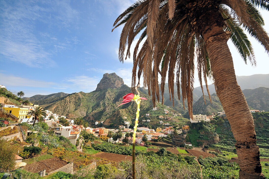 Blick auf das Tal von Vallehermoso, Nordküste, Gomera, Kanarische Inseln, Spanien, Europa