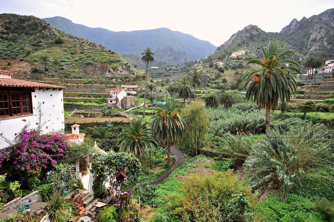 Häuser im Tal von Vallehermoso, Nordküste, Gomera, Kanarische Inseln, Spanien, Europa