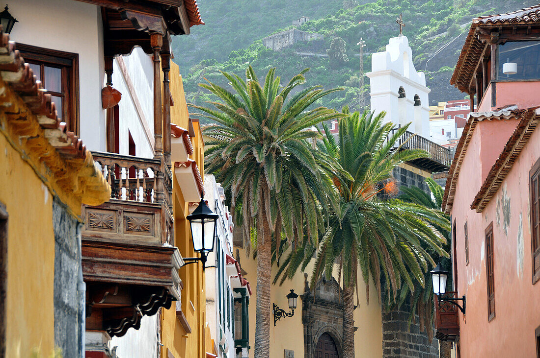 Palmen zwischen Häusern in Garachico, Teneriffa, Kanarische Inseln, Spanien, Europa