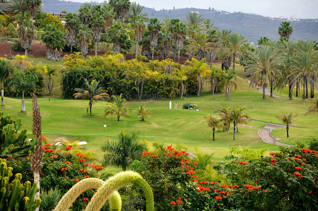 Golf course Abama under clouded sky, west coast of Tenerife, Canary Isles, Spain, Europe