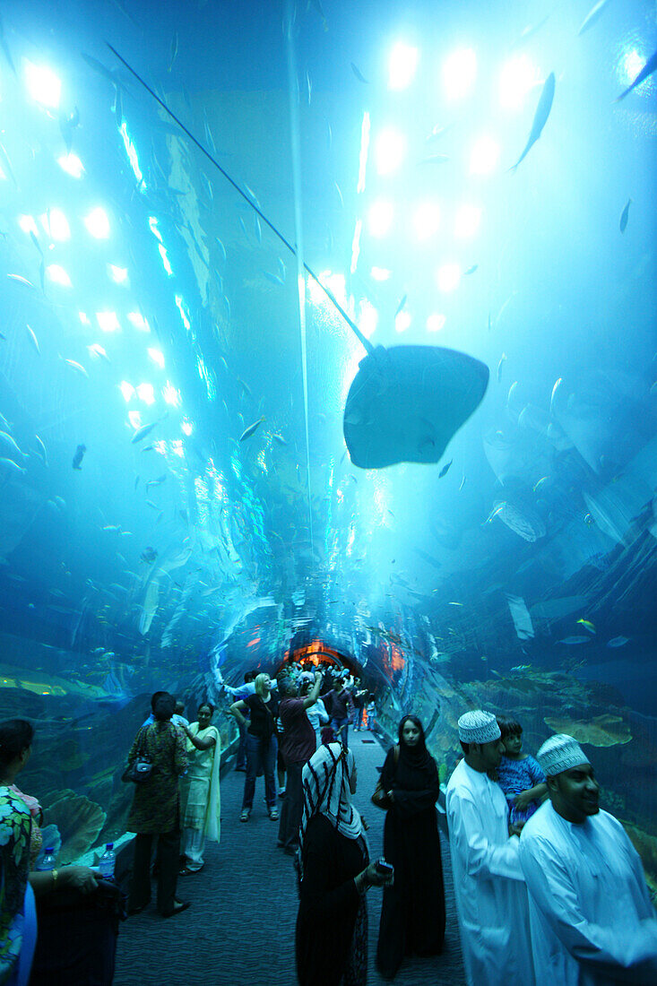 Menschen im Dubai Aquarium und Unterwasser Zoo im Einkaufszentrum Dubai Mall, Dubai, VAE, Vereinigte Arabische Emirate, Vorderasien, Asien