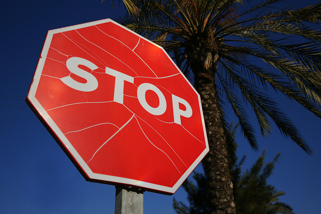 Stop sign in front of palm trees, Barcelona, Spain, Europe
