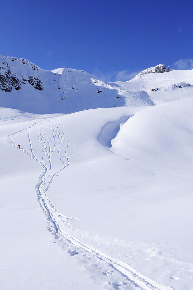 Aufstiegsspur und Abfahrtsspuren im Schnee mit Skitourengeher im Hintergrund, Schusterkogel, Saalbach-Hinterglemm, Kitzbüheler Alpen, Salzburg, Österreich